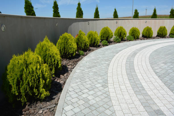 Best Driveway Paving Contractor  in North Yelm, WA